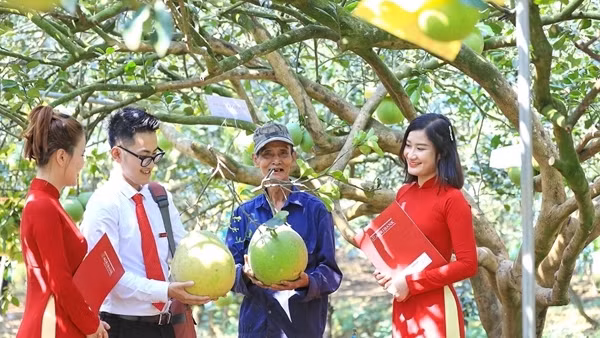 Agribank thúc đẩy phát triển bền vững với chương trình ưu đãi “xanh”