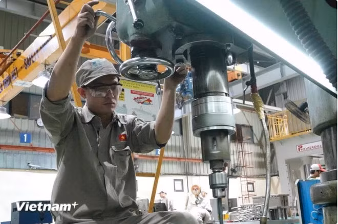 Sắp xếp đơn vị sự nghiệp công lập, DNNN, tổ chức bên trong hệ thống hành chính nhà nước -0