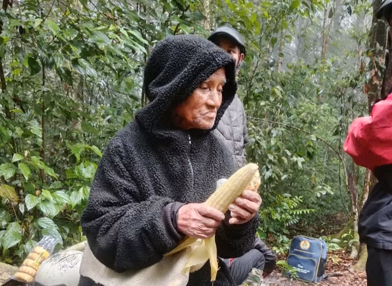 Cụ ông 78 tuổi sống sót kỳ diệu trong rừng sau 6 ngày đi lạc -0