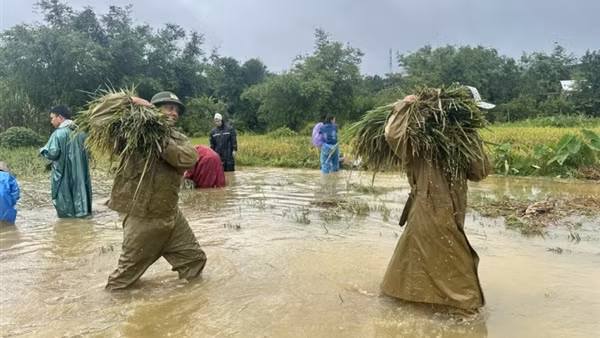 Hạn chế người dân ra đường trong thời gian bão đổ bộ và mưa lũ lớn