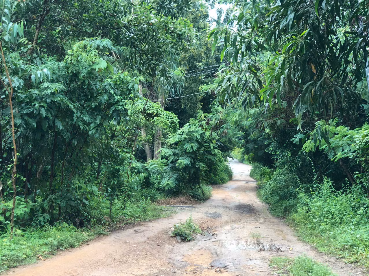 Điều tra vụ con trai dùng dao sát hại mẹ, chém gây thương tích chị gái của mình -0