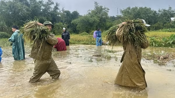 Công an xã, phường ở Huế giúp dân lợp mái nhà, gặt lúa chạy bão