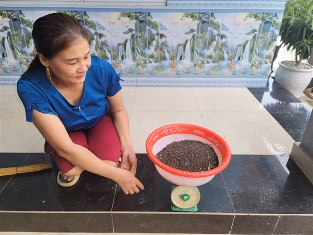 Cuộc sống người dân bị đảo lộn vì ruồi “tấn công” -0