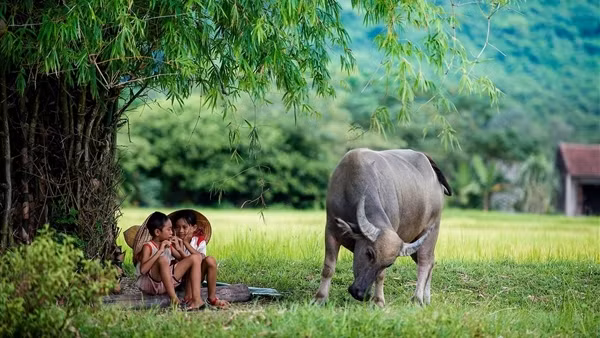Miền Bắc ngày nắng gián đoạn, mưa rào bất chợt