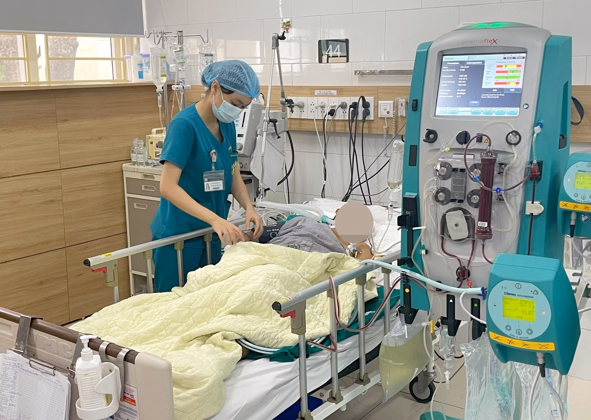 Cả nhà ăn nấm, 3 người tử vong -0