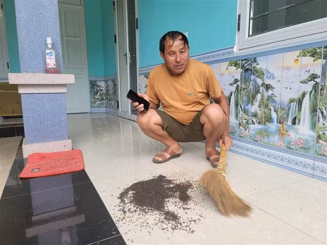 Cuộc sống người dân bị đảo lộn vì ruồi “tấn công” -0