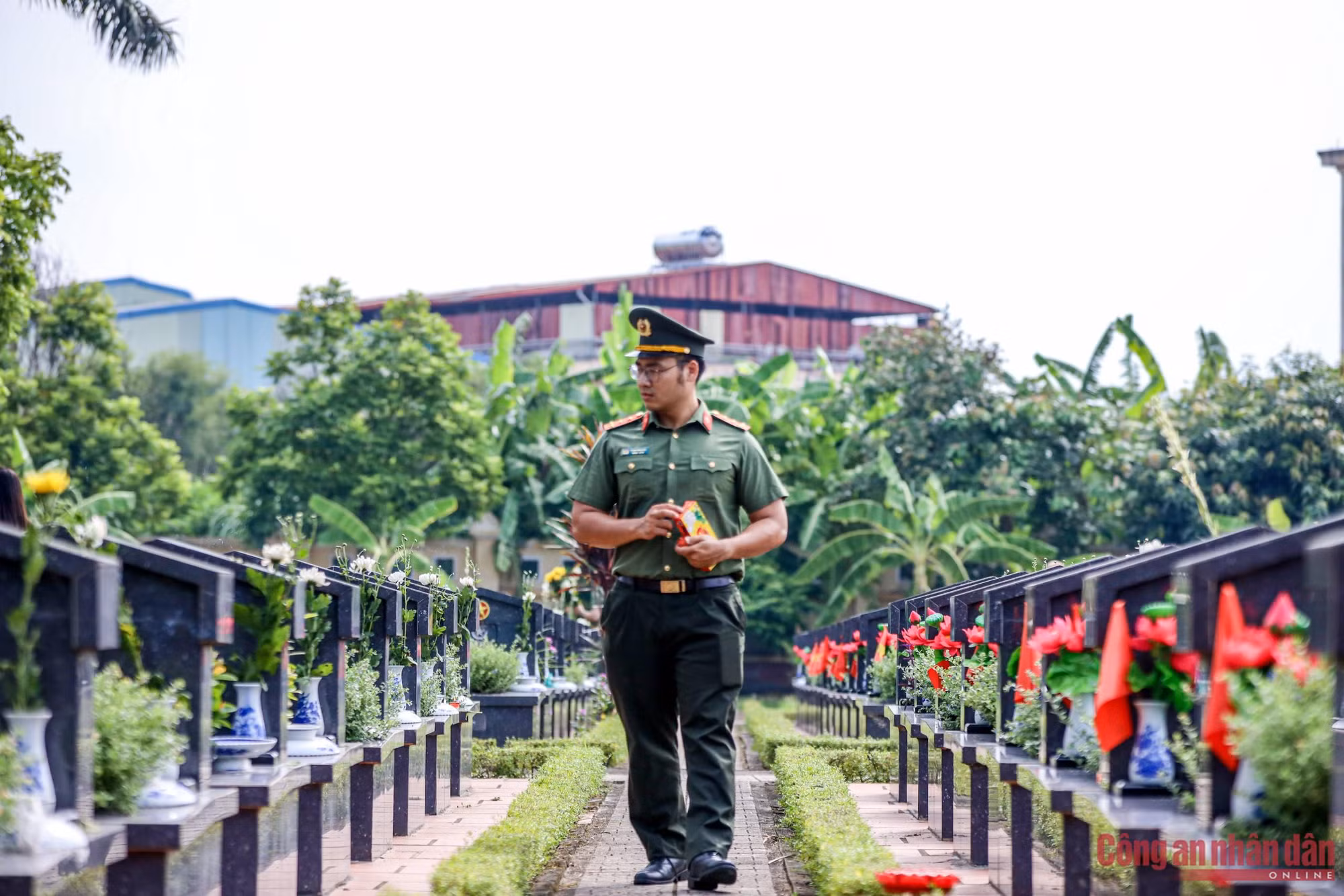 a1f.jpg -6