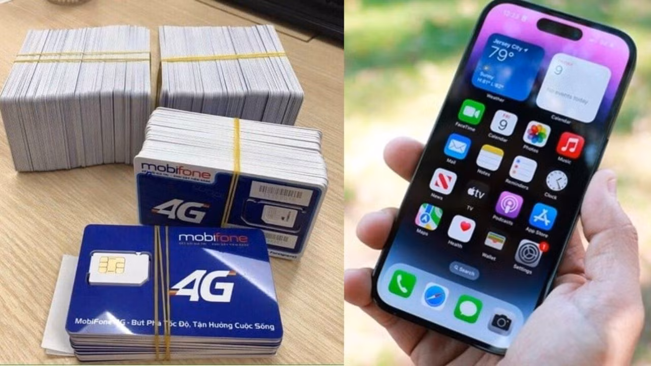 TP Hồ Chí Minh ngừng cung cấp dịch vụ hơn 1.700 sim thuê bao di động vi phạm -0