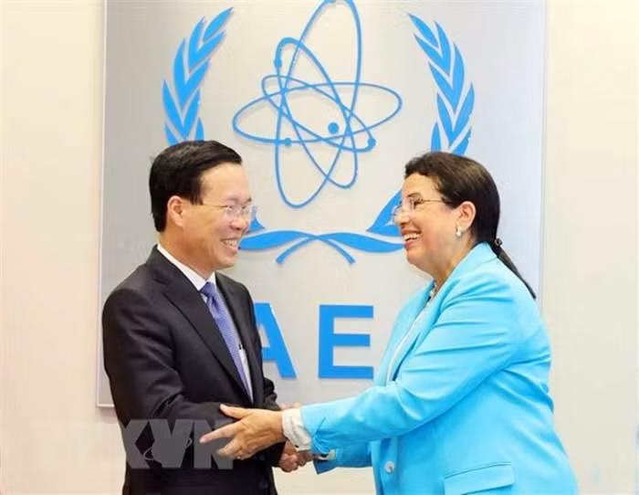 Việt Nam sẽ tích cực tham gia dự án hợp tác kỹ thuật IAEA khởi xướng -0