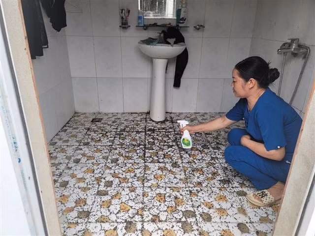 Cuộc sống người dân bị đảo lộn vì ruồi “tấn công” -0