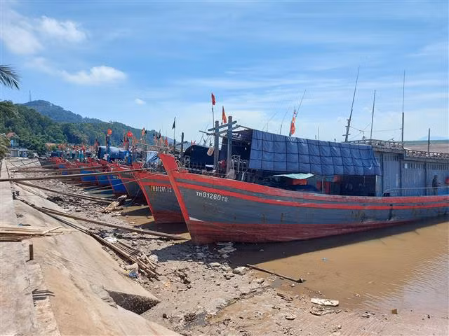 Tàu cá bị phạt hơn 932 triệu đồng, vì khai thác hải sản bất hợp pháp -0