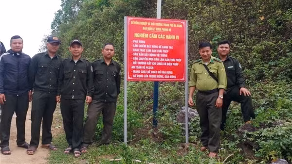 Đà Nẵng chủ động phòng, chống cháy rừng mùa nắng nóng