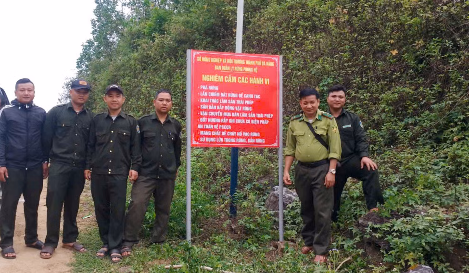 Đà Nẵng chủ động phòng, chống cháy rừng mùa nắng nóng -0