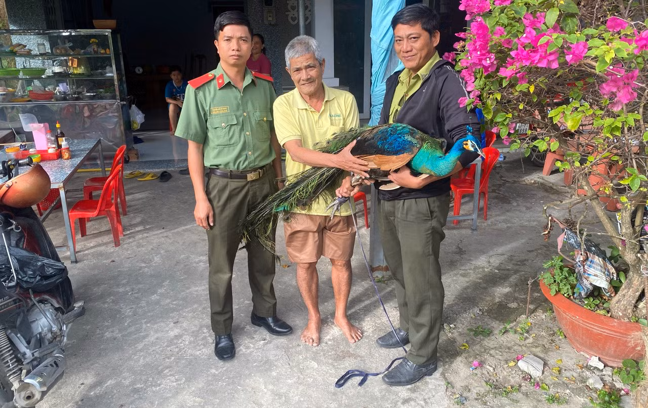 Phát huy vai trò Công an trong bảo vệ động vật hoang dã ở An Giang -0