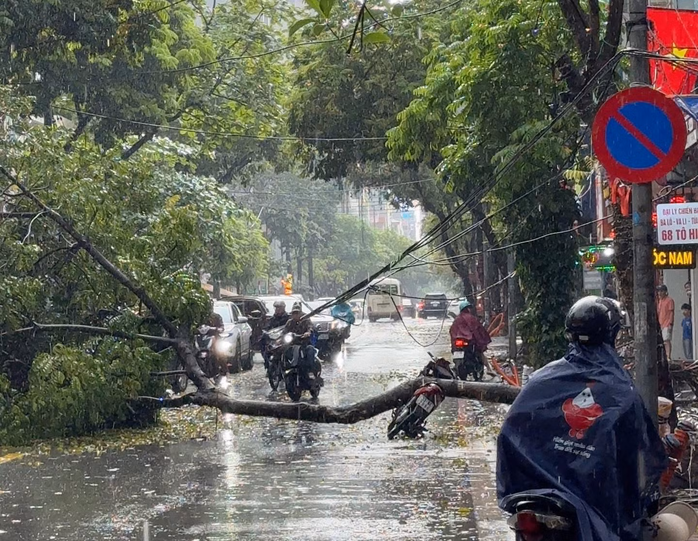 Cây xanh bật gốc trong mưa, đè trúng người đi xe máy -0