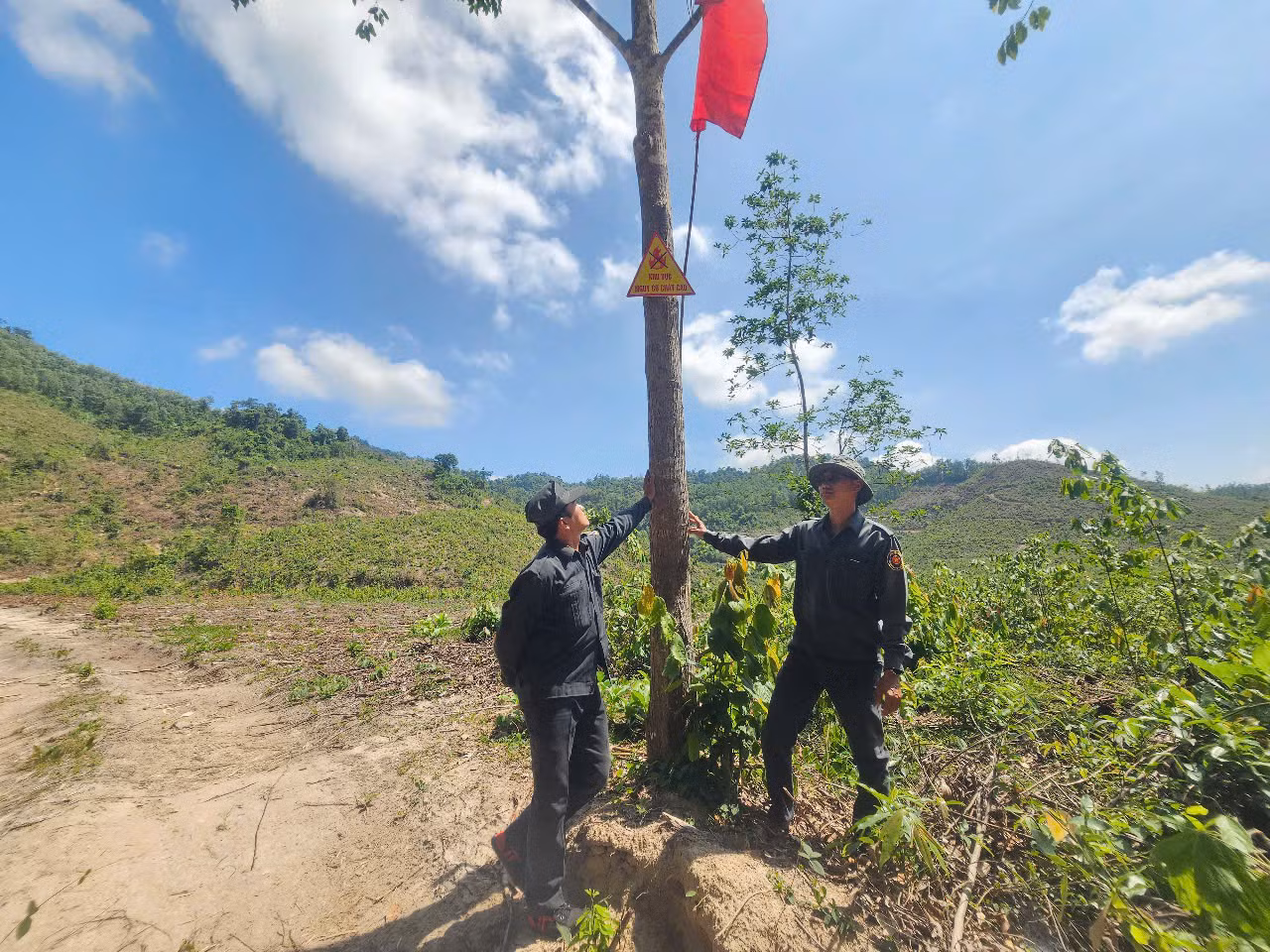 Khánh Hòa siết chặt phòng, chống cháy rừng trong mùa khô -0