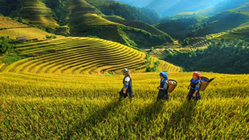 Miền Bắc nắng nhất 33 độ C, vài nơi có mưa về chiều tối và đêm -0