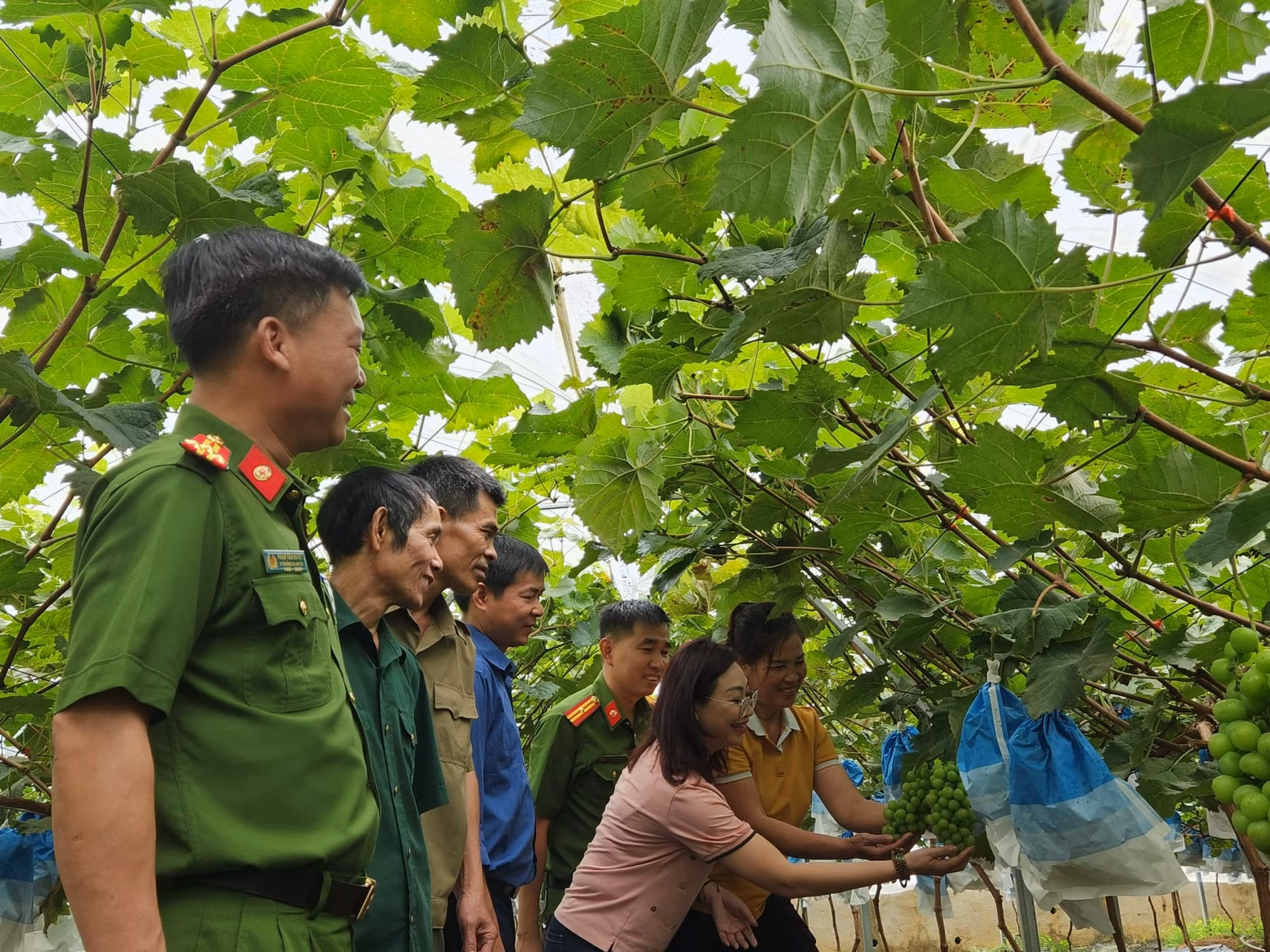 Thay đổi thời gian tổ chức Tuần&nbsp; Du lịch - Văn hóa Lai Châu năm 2024 -0
