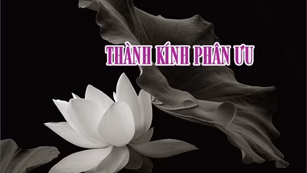 Lời chia buồn