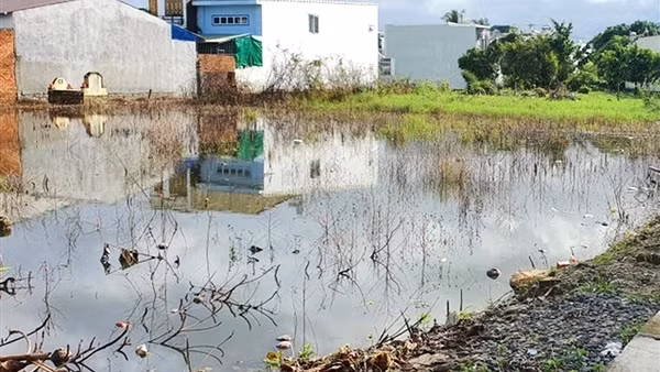 Chính quyền thua kiện vì đưa đất dân vào đất công ích