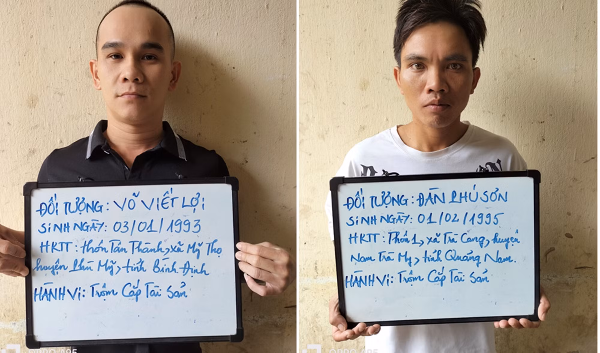 “Ăn” hàng trăm gốc sâm Ngọc Linh, nhiều đối tượng bị khởi tố -0