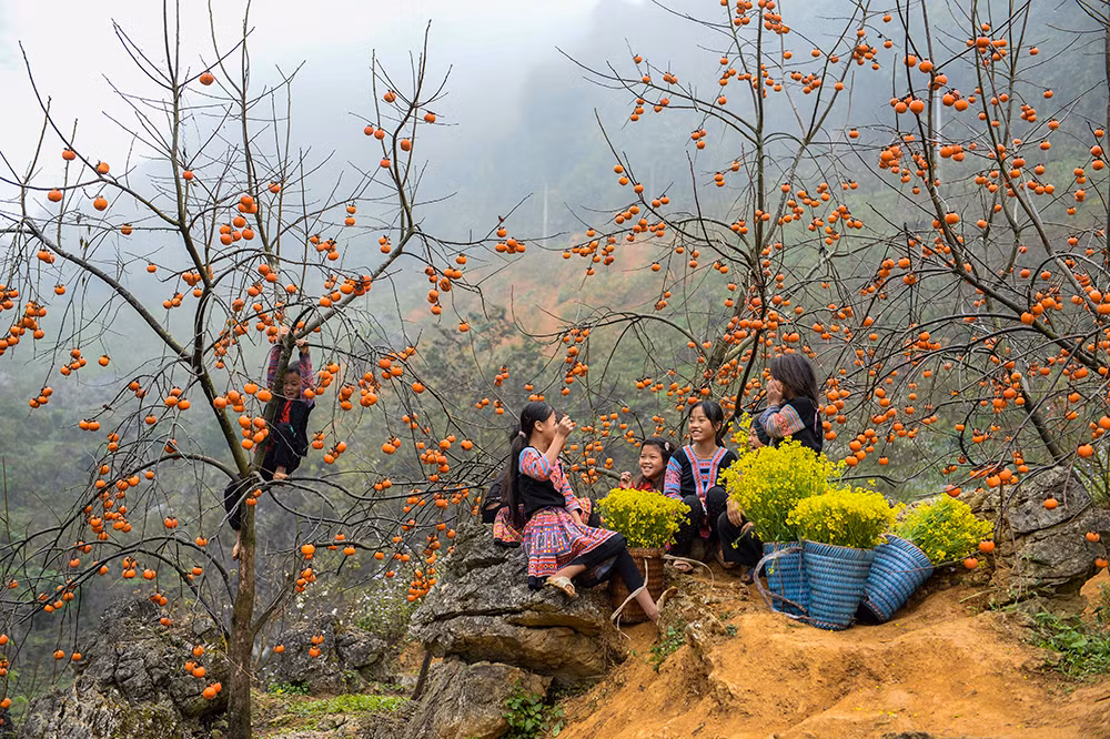 Nhớ một cái tết tuổi thơ