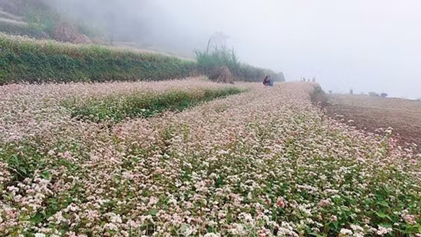 Lấy văn hóa là trọng tâm để phát triển du lịch, xóa đói giảm nghèo