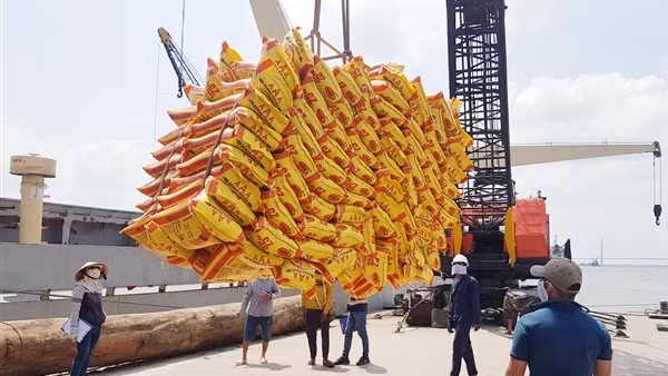 Chủ động kiểm soát dịch bệnh, phục hồi sản xuất an toàn, chắc chắn ảnh 3