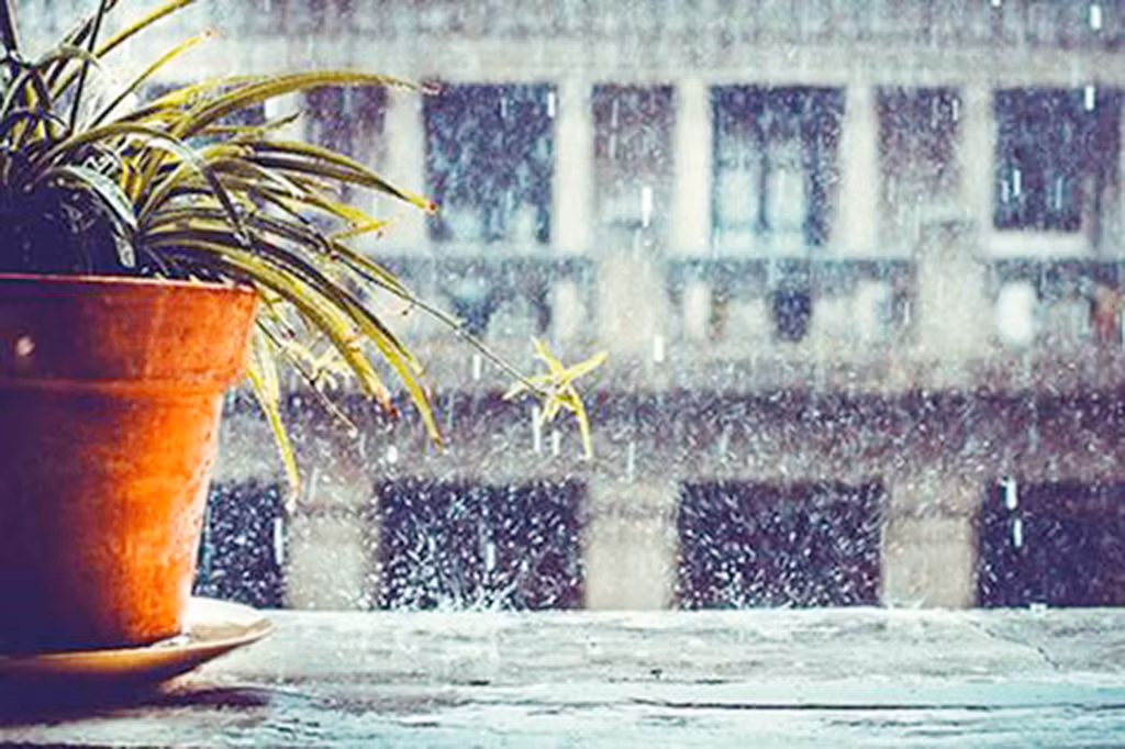 Hà Nội có mưa giông, thời tiết mát mẻ -0