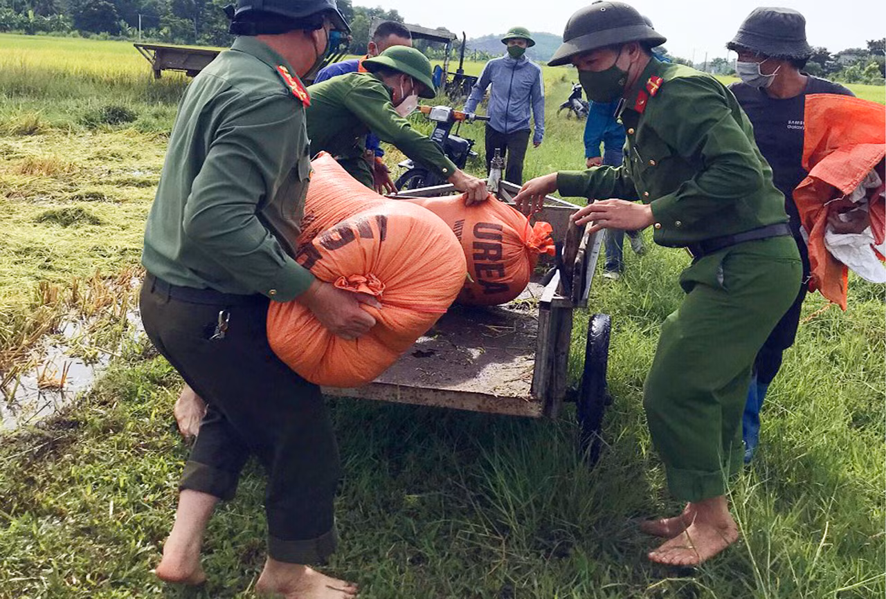 Công an giúp dân vùng dịch gặt lúa tránh bão -0