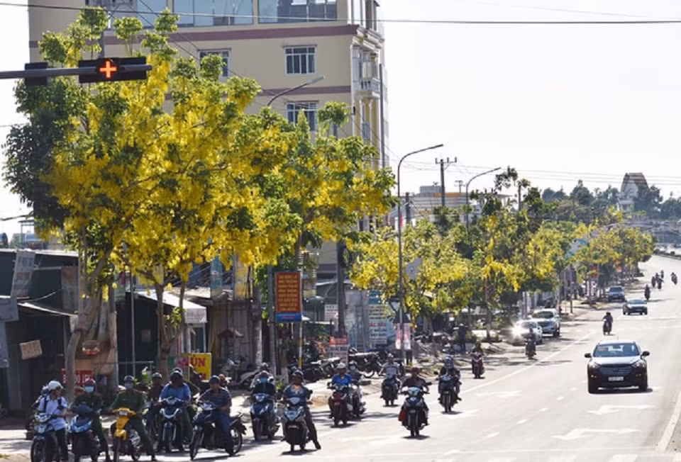 1-phố hoa.jpg -0