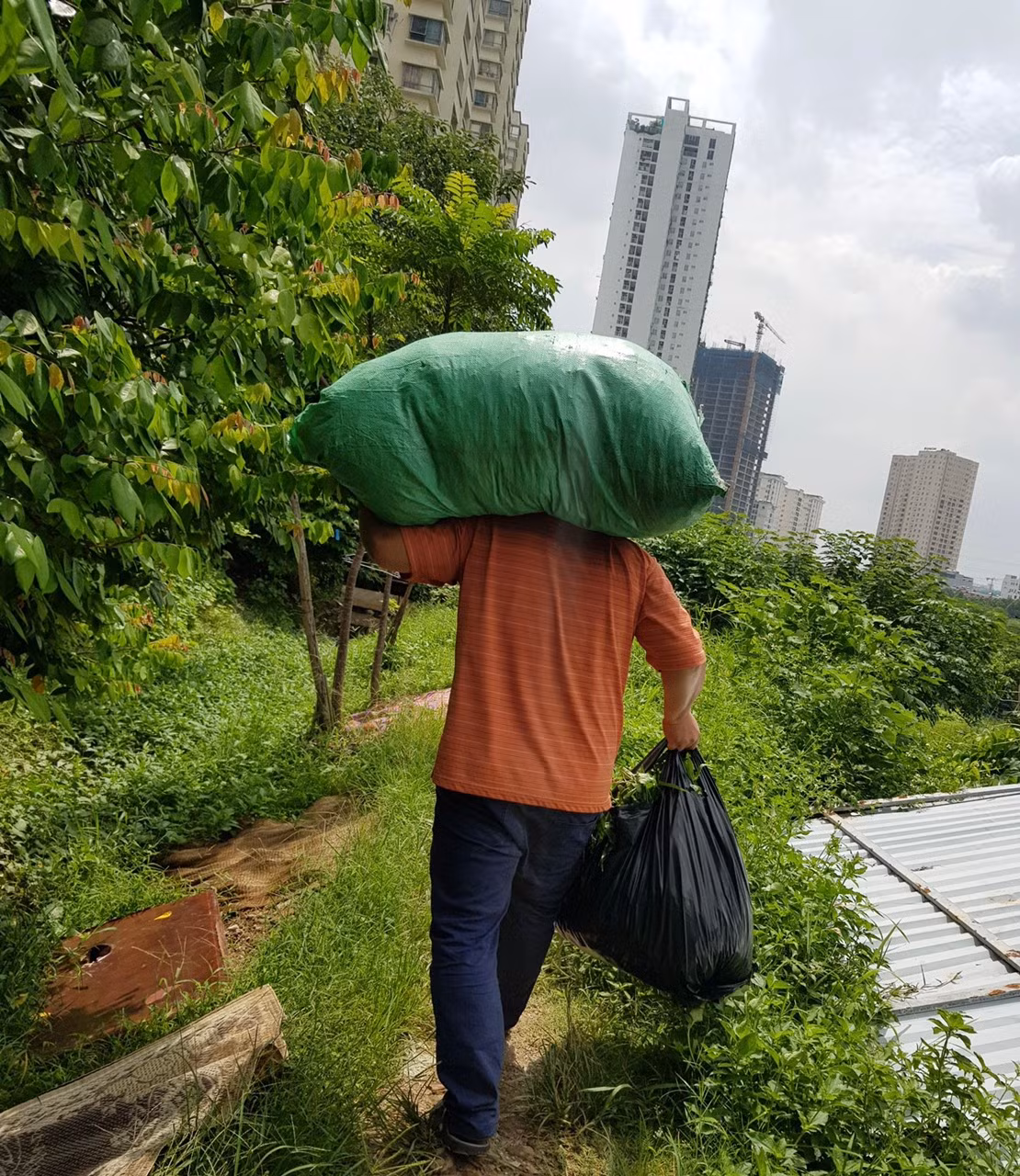 Chuyện hai người bán rau nghèo làm từ thiện -0