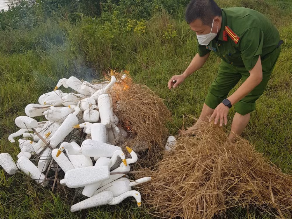 Nngăn chặn tình trạng đánh bắt, mua bán chim tự nhiên -0