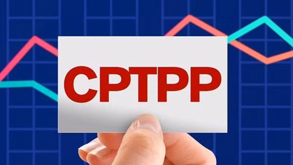 Vì sao CPTPP ngày càng hấp dẫn? ảnh 5