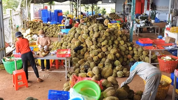 Bí thư thị trấn mắc COVID-19, nhiều công chức phải cách ly ảnh 3