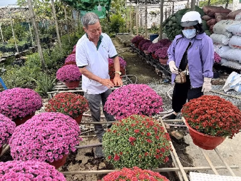 Muôn hoa khoe sắc tại làng hoa trăm tuổi ở Cần Thơ -0