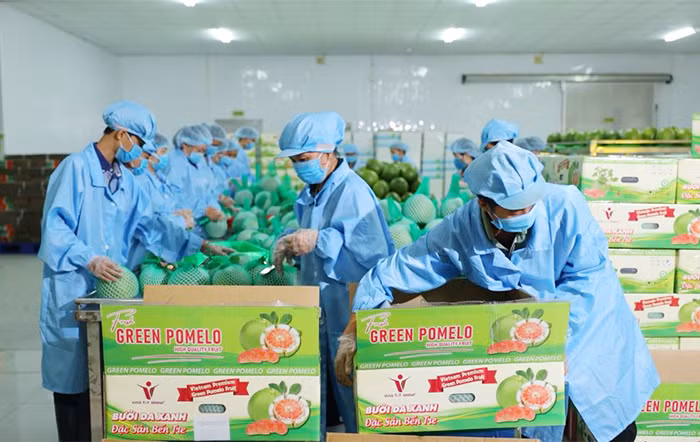 Hàng Việt rộng cửa vào thị trường Mỹ -0