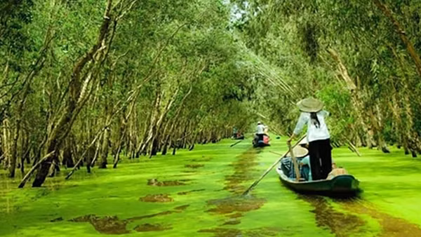 Điều chưa biết về Điểm tham quan Khu bảo tồn Đồng Tháp Mười