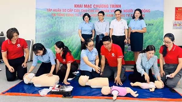 Huấn luyện bồi dưỡng kiến thức, kỹ năng sơ cấp cứu cho người lao động tại VINAFOR