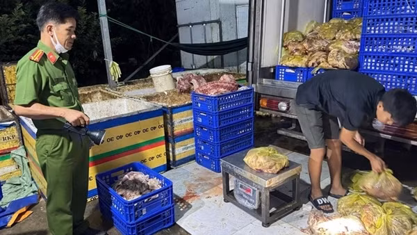 Chặn hơn 4 tấn thịt lợn bốc mùi chuẩn bị vào lò chế biến