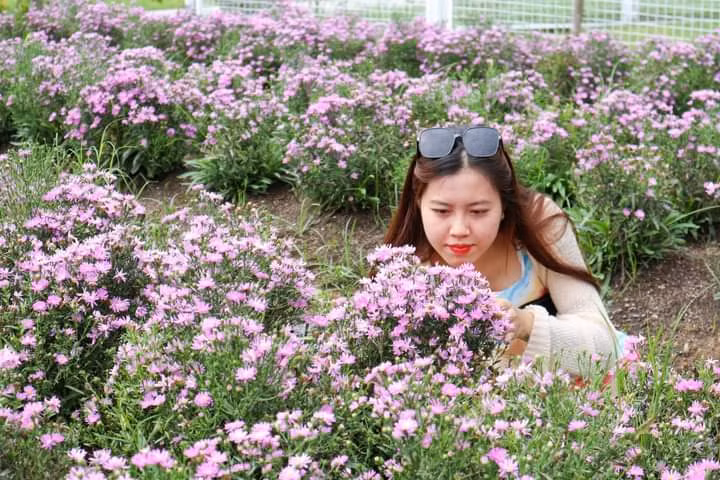 Khu tham quan điện mặt trời An Hảo sau Tết có gì đẹp? -1