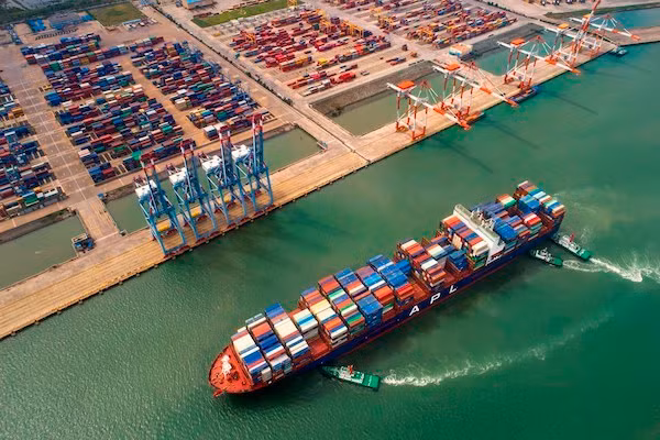 Cấp thiết phát triển logistics phục vụ xuất khẩu hàng hóa vùng châu thổ Cửu Long -0