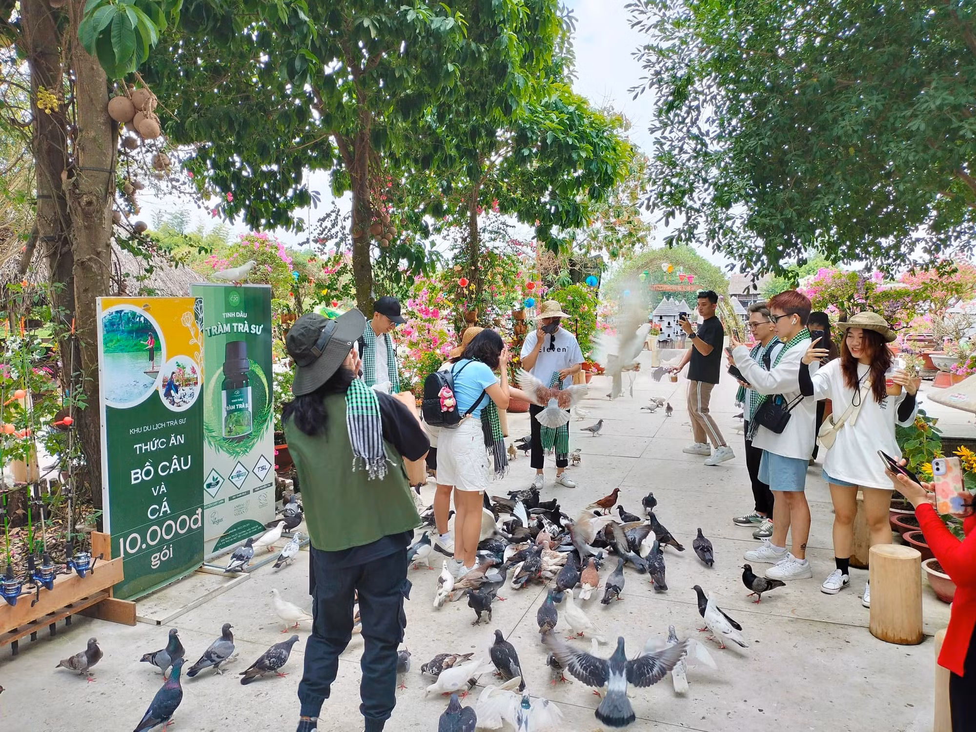 Trà Sư - gìn giữ nét đẹp chân quê -0