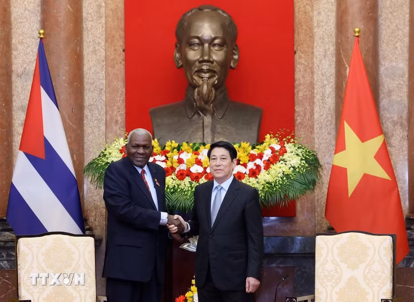 Chủ tịch nước: Việt Nam muốn nâng cao hơn nữa hiệu quả hợp tác với Cuba -0