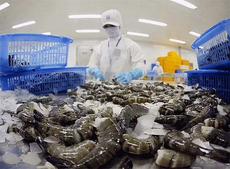 Sản phẩm tôm Việt Nam chiếm thị phần cao nhất tại Hàn Quốc -0