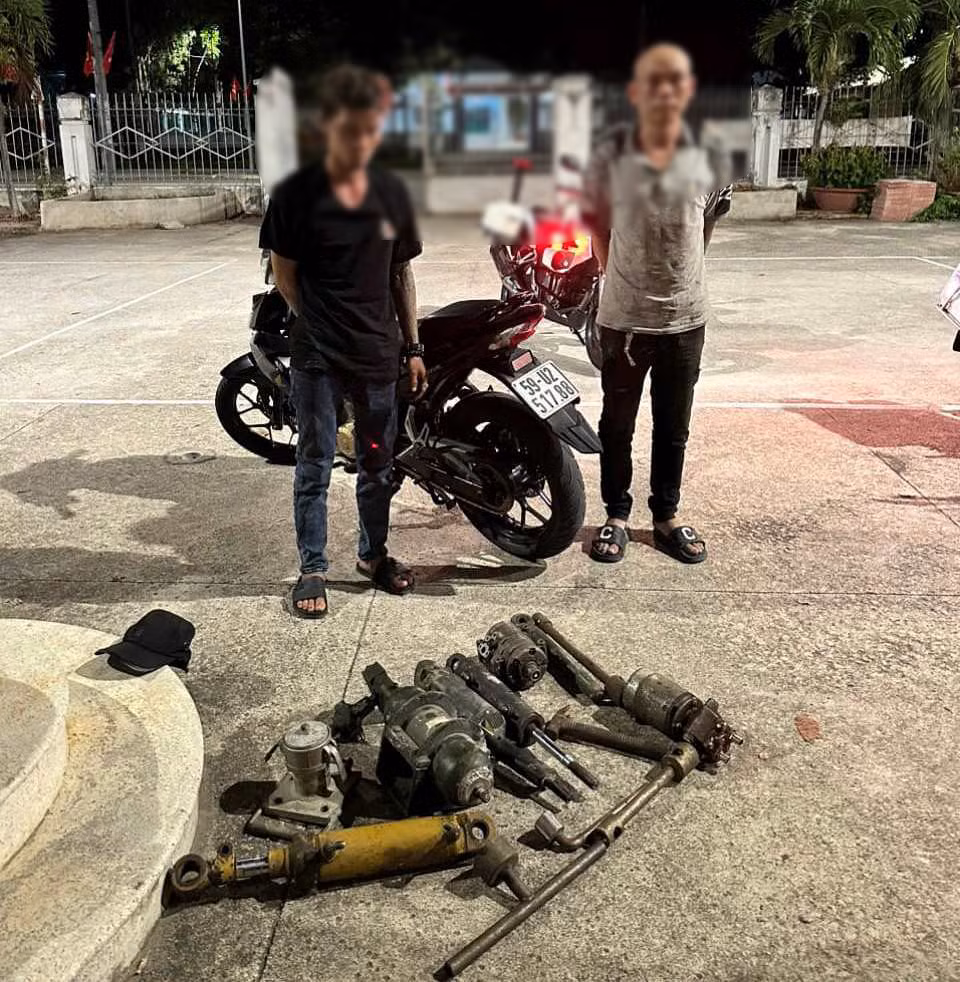 Bắt giữ nhiều đối tượng cộm cán trộm cắp tài sản -0