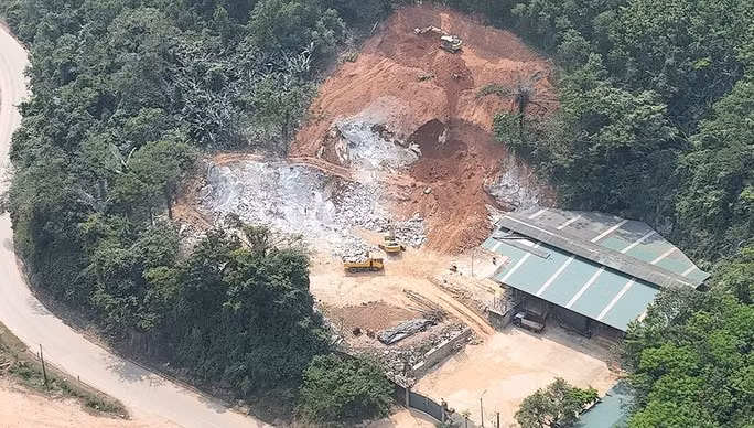 Xử phạt công ty bạt núi phá rừng để làm trạm trung chuyển trâu bò -0