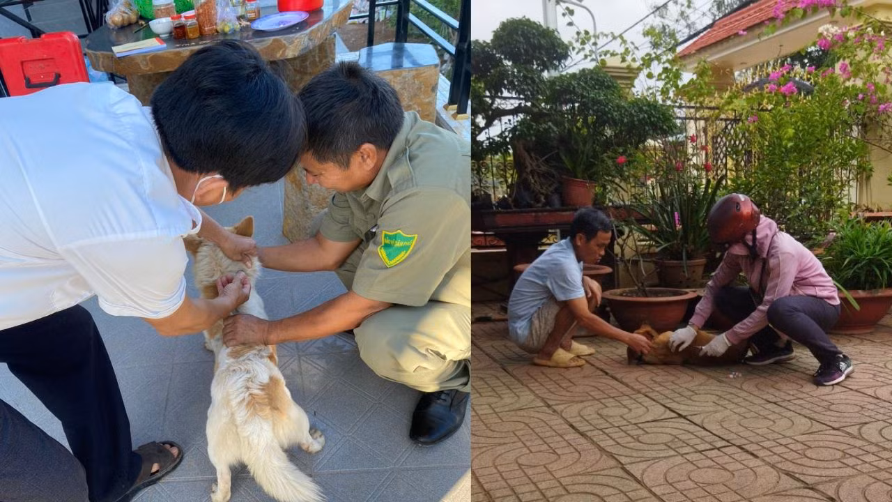 Một người đàn ông ở Bình Phước tử vong do chó cắn -0