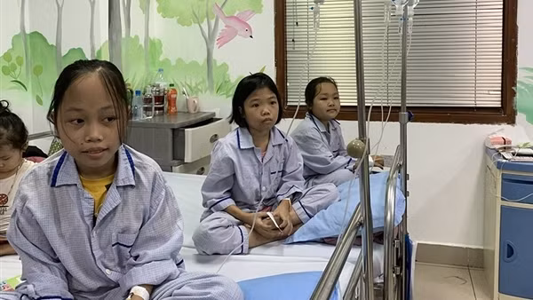 Ghép tế bào gốc - cơ may cho trẻ mắc bệnh tan máu bẩm sinh