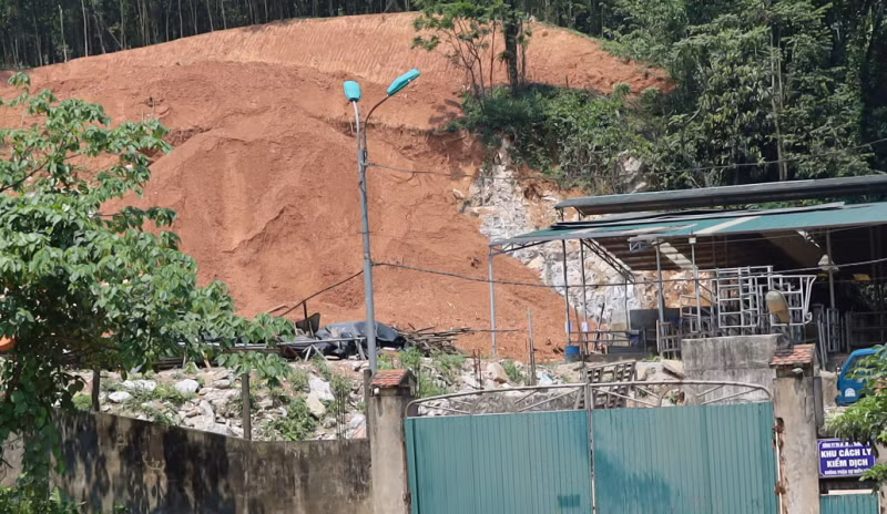 Xử phạt công ty bạt núi phá rừng để làm trạm trung chuyển trâu bò -0